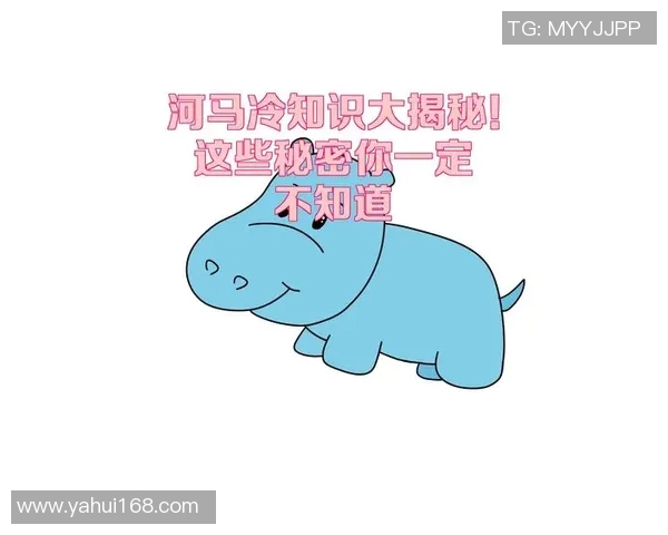 你不知道的总决赛：十大冷知识大揭秘